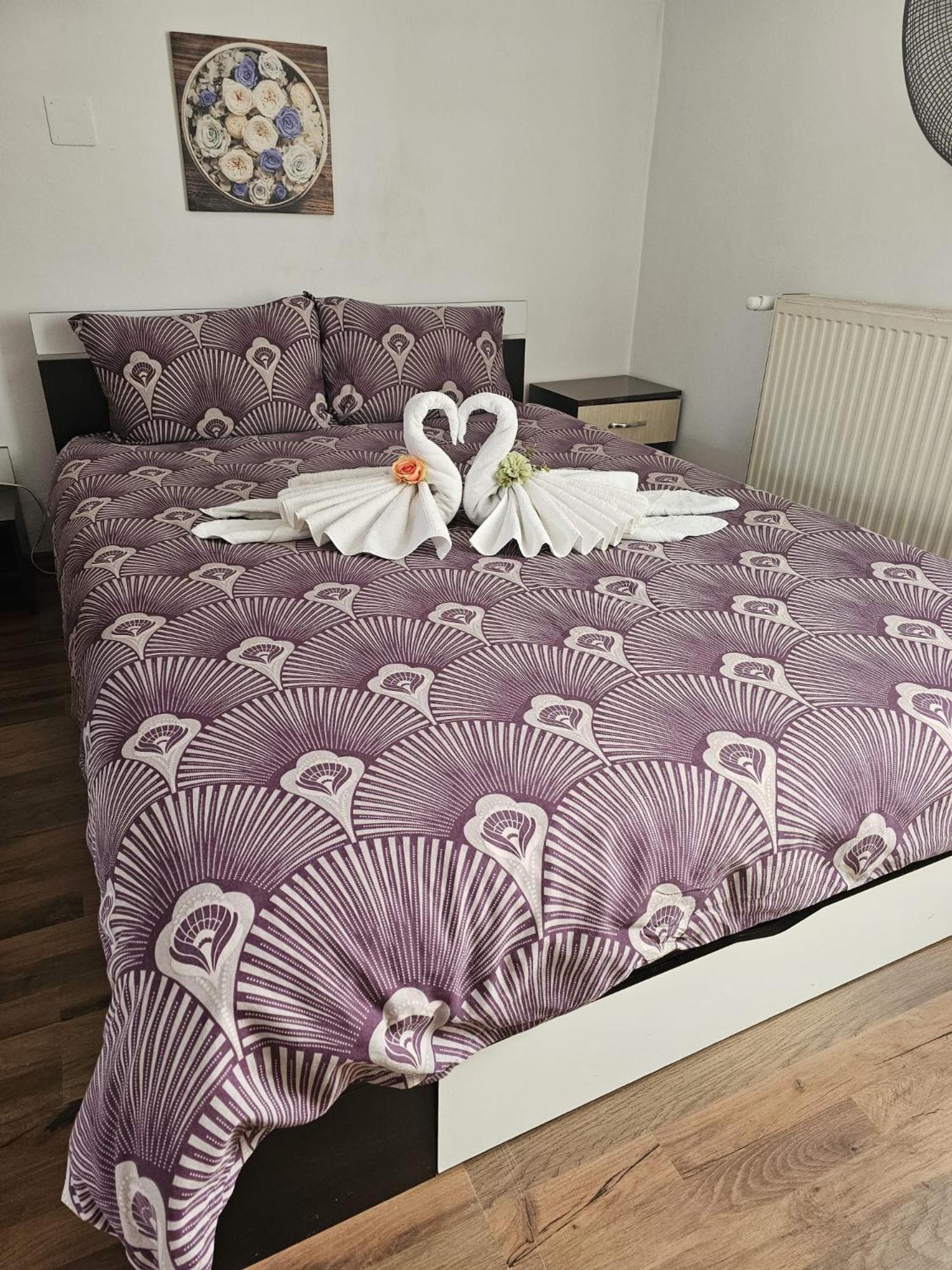 Casa Ana Appartement Cluj-Napoca Buitenkant foto